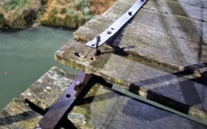 Por iniciativa del Foro