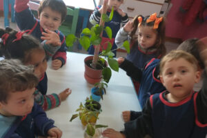 Calendario semanal de actividades