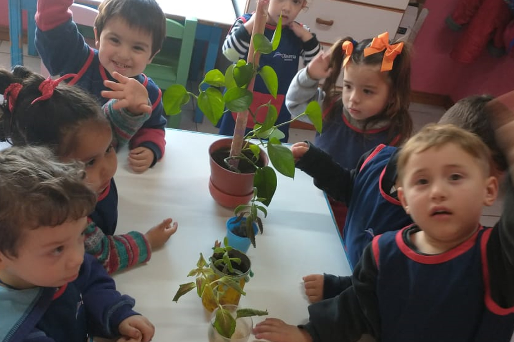 Calendario semanal de actividades