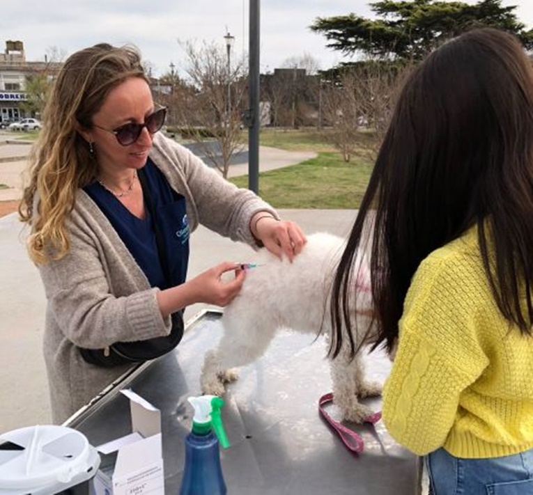 Calendario semanal de inmunización