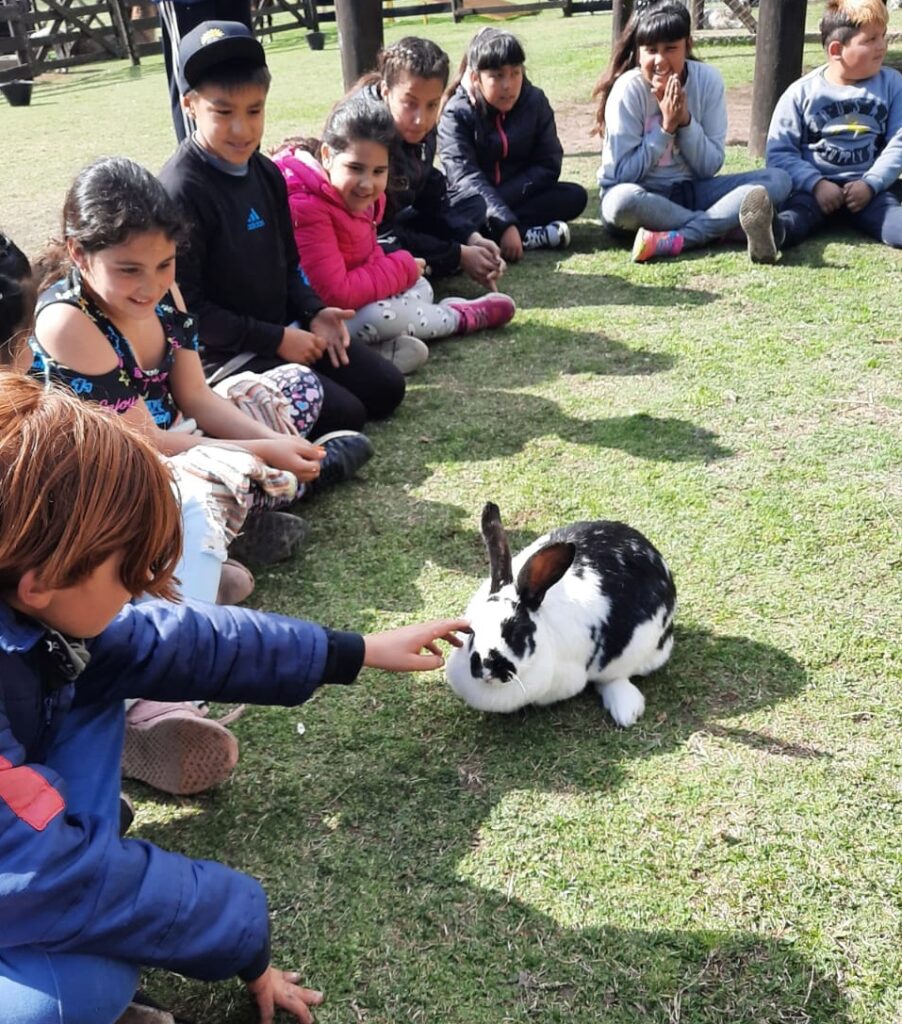 Educación ambiental y talleres