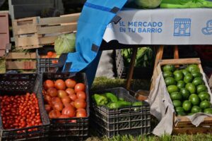 Requisitos para habilitación de