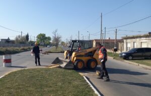 Tareas de conservación de