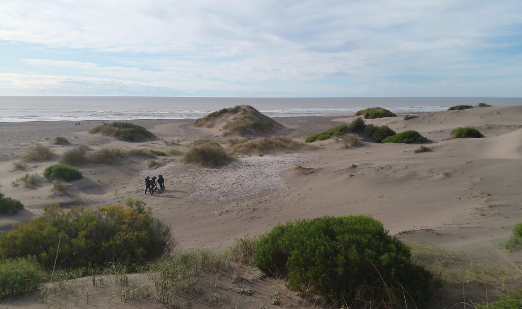 Continúan las investigaciones arqueológicas