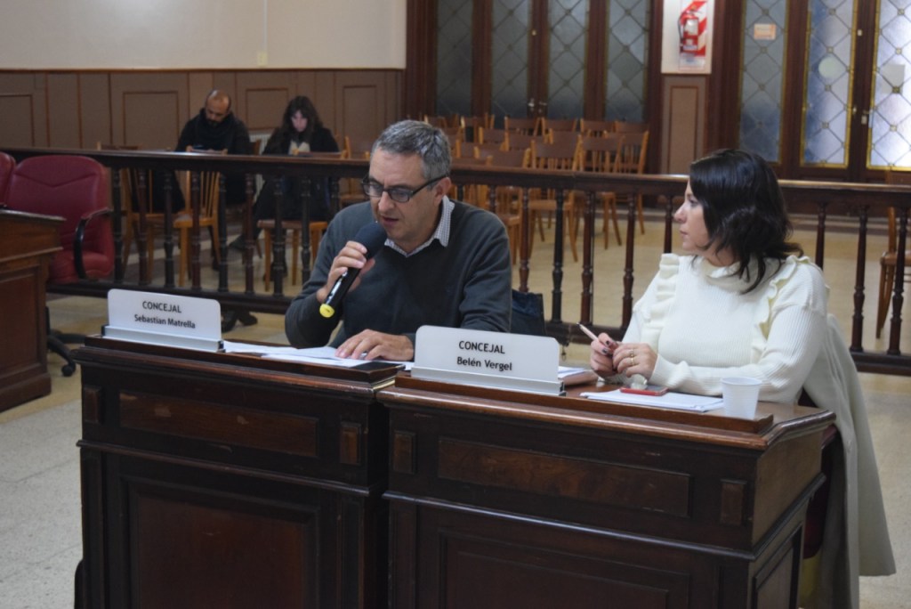 El bloque radical presentó