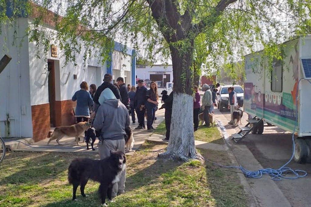 Jornada de castración y