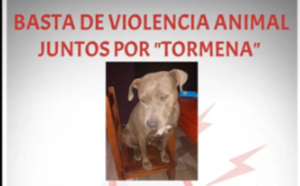 Convocan a una marcha