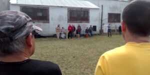 Recital de los Profes