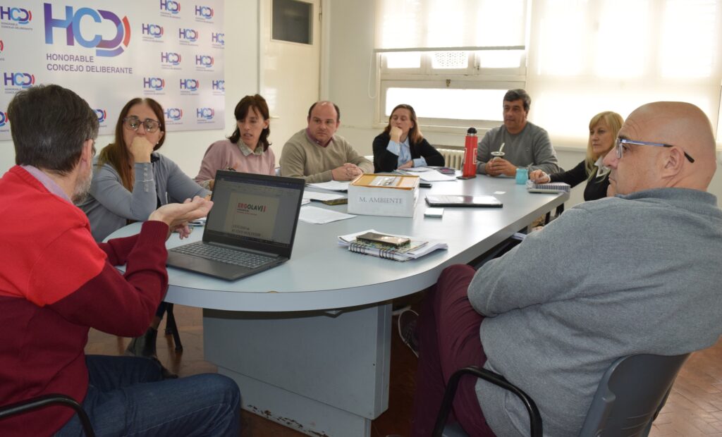 Reunión de la comisión