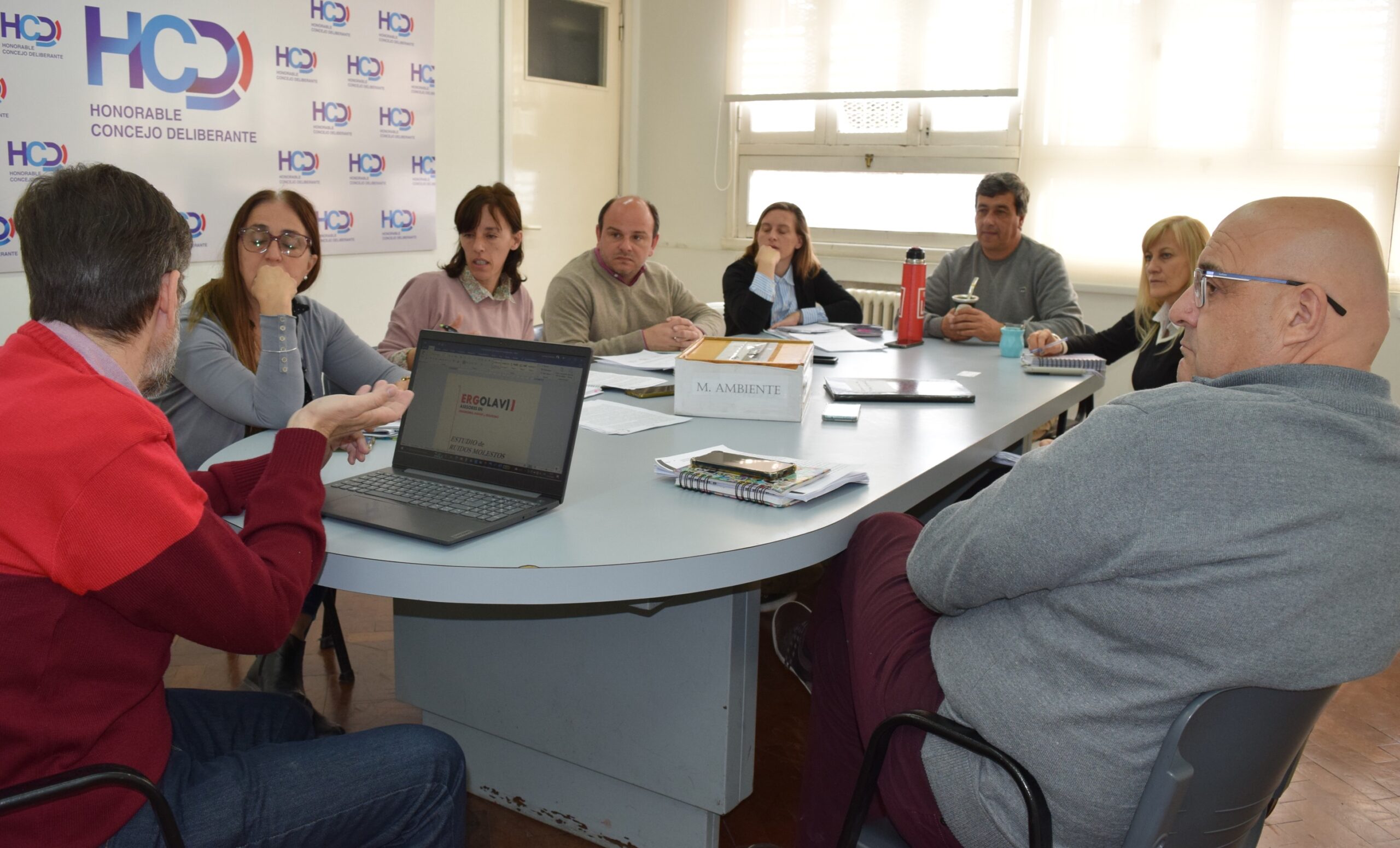 Reunión de la comisión