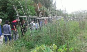 Taller de Huerta Urbana