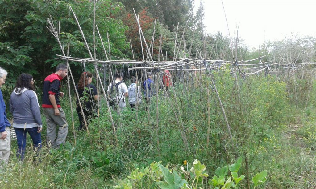 Taller de Huerta Urbana