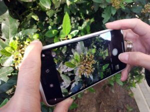 Inscripción abierta para el