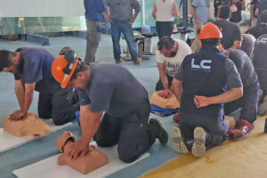 Programa de