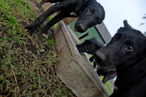 Realizarán la tercera edición