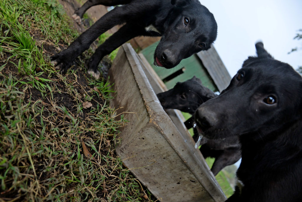 Realizarán la tercera edición