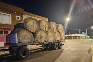 Conducía cargado de fardos