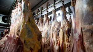 Las exportaciones de carne
